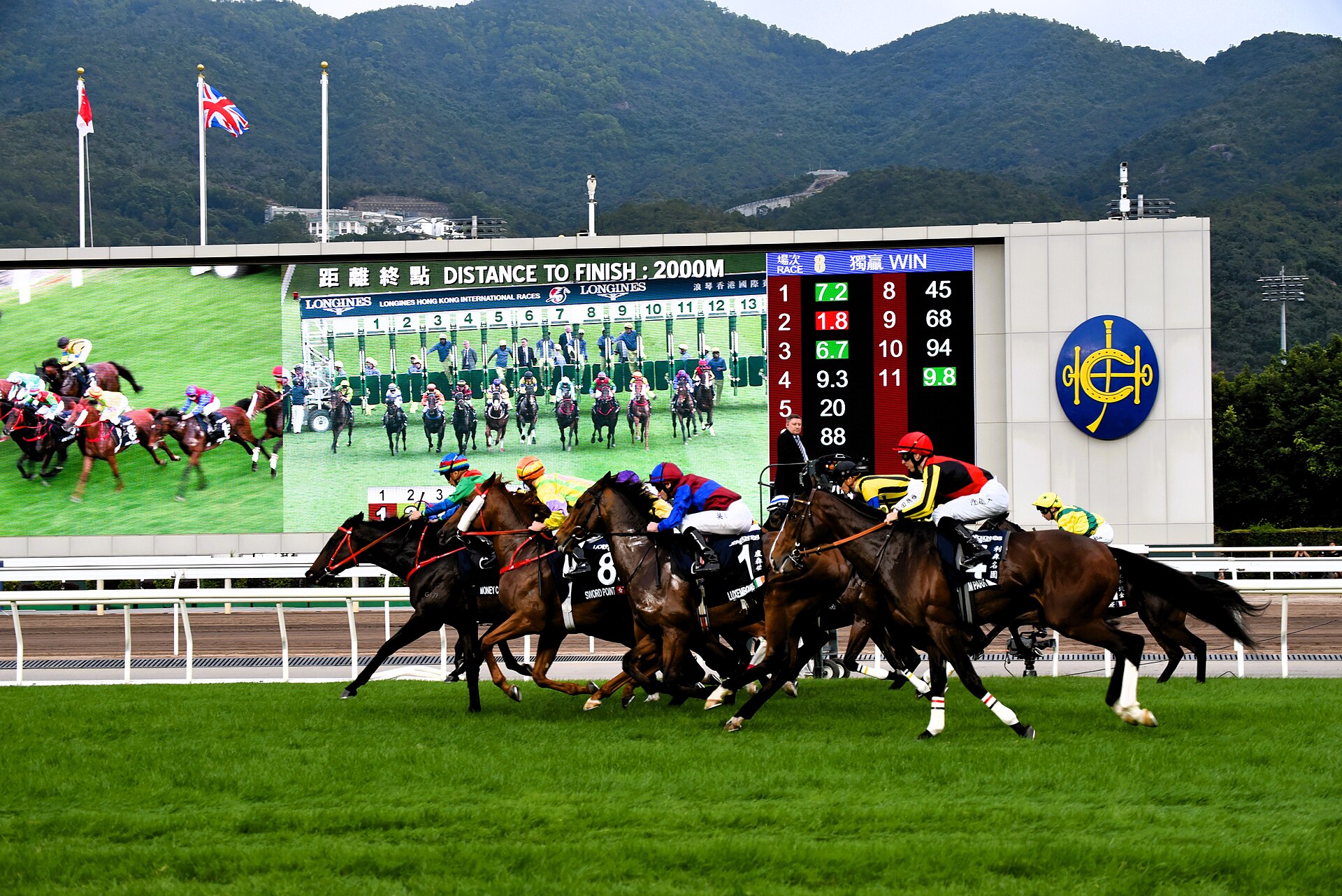 沙田馬場